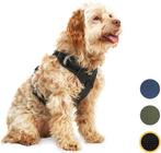 2dekans | Jake en Jacky Hondentuigje - Anti-Trek Tuig -, Dieren en Toebehoren, Honden-accessoires, Ophalen of Verzenden, Zo goed als nieuw