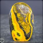 Zeer zeldzaam natuurlijk Bumblebee Jasper Freeform, Sumatra-