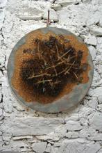 Bruno Contenotte (1922-1992) - Gilmine Mero