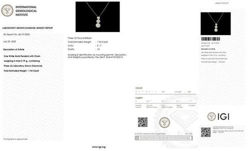 Zonder Minimumprijs - Halsketting - 14 karaat Witgoud -, Sieraden, Tassen en Uiterlijk, Kettingen