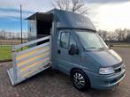 Leuke 2-paards Fiat paardenwagen te koop!, Dieren en Toebehoren, Ophalen, Zo goed als nieuw, Aluminium, 2-paards trailer