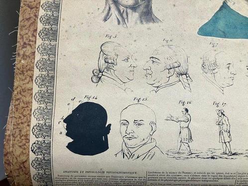 Lavater - Superlative medical poster: Précis analytique du, Antiek en Kunst, Antiek | Boeken en Bijbels