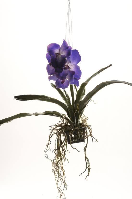 Emerald - Vanda hangplant - 60 cm - Paars, Huis en Inrichting, Woonaccessoires | Overige, Verzenden