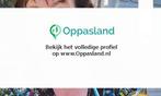 Ik ben Jolanda, 65 jaar oud en ik zoek oppaswerk in Oegst..., Diensten en Vakmensen
