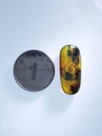 Barnsteen - A large golden snail - 22 mm - 10 mm