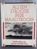 Als een strootje in de maalstroom 9789071099038 J. Hagedoorn, Boeken, Verzenden, Gelezen, J. Hagedoorn