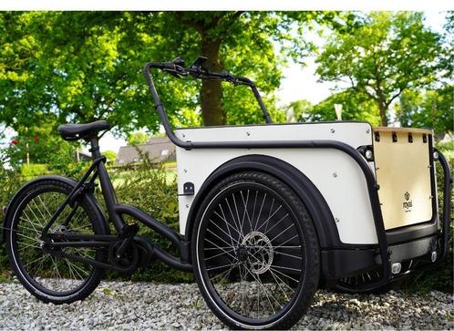 Elektrische bakfiets ROYAL CARGO BIKE twee en driewieler SU, Fietsen en Brommers, Fietsen | Bakfietsen, 4 kinderen of meer, Elektrisch
