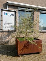 Corten plantenbakken en borderranden, Nieuw, Tuin, Metaal