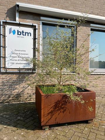 Cortenstaal Plantenbakken op Maat gemaakt beschikbaar voor biedingen