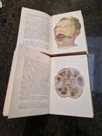 Professeur Georg Puppe /Hoffman - Atlas et plan de médecine