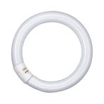 Osram Lumilux® Circular Compact Fluor T9 22W 6500K 1300lm -, Verzenden, Nieuw