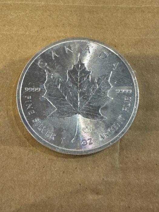 Canada. 5 Dollars 2014 Maple Leaf, 1 Oz (.999) (Zonder, Postzegels en Munten, Munten | Europa | Niet-Euromunten