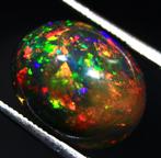 Cts. 2.90 Natuurlijke Ethiopische zwarte opaal Cabochon -, Verzamelen