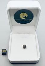 Marsmeteoriet Achondrite - Amgala 001 - 0.83 g - (1)