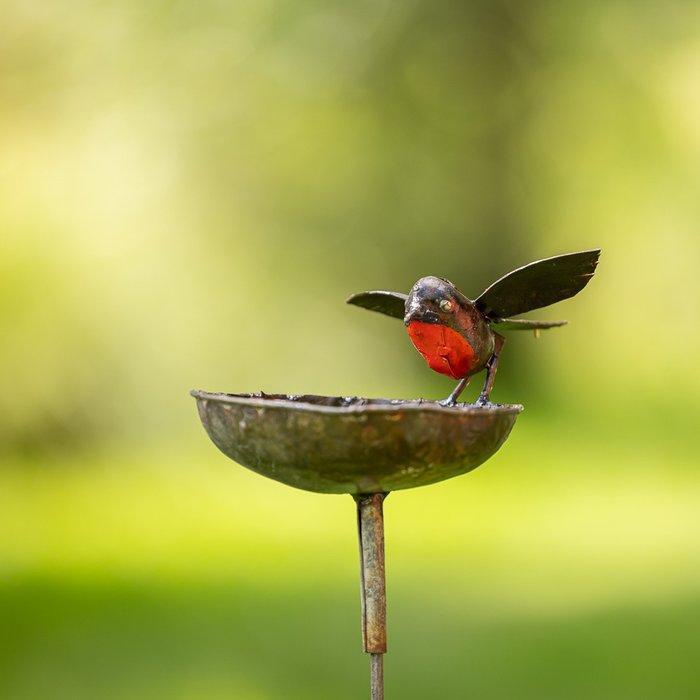 Figuur - Roodborst drinkbak op metalen staaf - Metaal, Antiek en Kunst, Curiosa en Brocante