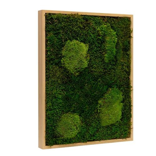Vintlux Mosschilderij Lappenmos-Bolmos Blank Hout - Viborg, Huis en Inrichting, Woonaccessoires | Wanddecoraties