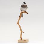 Light-Vented Bulbul Taxidermie volledige montage -, Verzamelen, Dierenverzamelingen, Nieuw