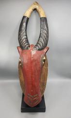 Masque buffle - Baule - Ivoorkust (Zonder minimumprijs), Antiek en Kunst