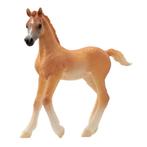 schleich HORSE CLUB Arabisch Veulen 13984 (Schleich Paarden), Kinderen en Baby's, Speelgoed | Overig, Ophalen of Verzenden, Nieuw