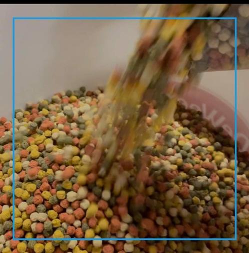 Koimix / Koivoer / Voer / Karper/ Basic voer /, Dieren en Toebehoren, Dierenvoeding, Vis, Ophalen of Verzenden