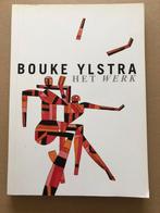 Monografie Bouke Ylstra - Erkenning veelzijdig kunstenaar, Ophalen of Verzenden, Zo goed als nieuw, Schilder- en Tekenkunst