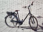 Pegasus Siena E7F Belt model 2024!!, Overige merken, Nieuw, Ophalen of Verzenden, 59 cm of meer