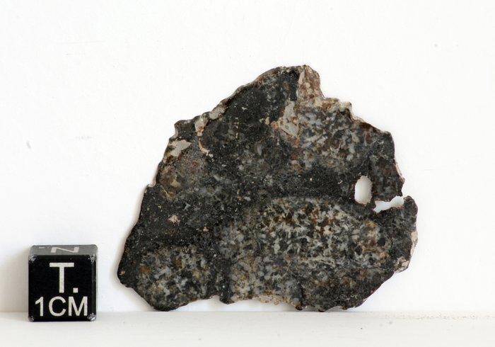 Schaal van achondriet meteoriet Eucrite smeltbreccia Mooie, Verzamelen, Mineralen en Fossielen