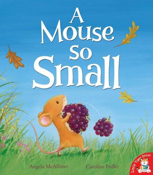 Mouse So Small 9781848691322 Angela McAllister, Boeken, Taal | Engels, Gelezen, Verzenden
