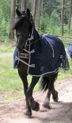 Uitrijdeken mendeken fleece wol waterdicht met/zonder hals, Dieren en Toebehoren, Paarden en Pony's | Dekens en Dekjes, Ophalen of Verzenden