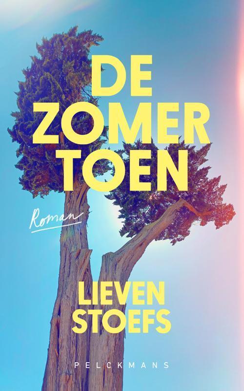 De zomer toen 9789463833783 Lieven Stoefs, Boeken, Romans, Gelezen, Verzenden