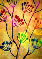 Lupo - Urban Jungle 247 - Real Gold - XXL-NO Reserve