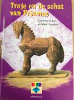 Troje en de schat van Priamus groep 5 en 6 leesboekje, Boeken, Verzenden, Gelezen, D. Loeve