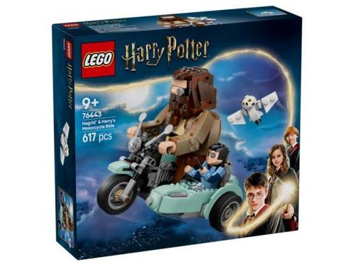 Veiling - LEGO 76443 Hagrid & Harrys Motorcycle Ride, Kinderen en Baby's, Speelgoed | Duplo en Lego