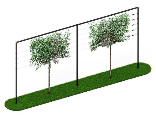 Leibomen frame | 6 meter breed | Zwart, Tuin en Terras, Planten | Bomen, Verzenden
