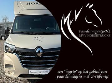 ***TE KOOP***  Mooie paardenwagens op voorraad -B-rijbewijs beschikbaar voor biedingen