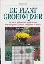 PLANTGROEIWIJZER, DE / Bloemen en planten 9789052101514, Boeken, Verzenden, Zo goed als nieuw, Boisset