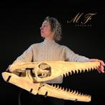 Mosasaurus - Fossiele schedel - 39 cm - 65 cm