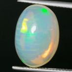Edele opaal - 9.90 ct, Nieuw