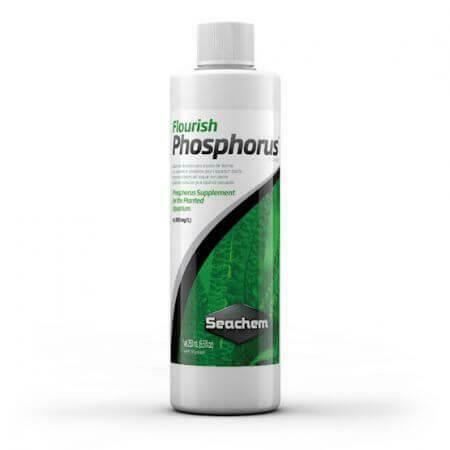 Seachem Flourish Phosphorus 100ml, Dieren en Toebehoren, Vissen | Aquaria en Toebehoren, Ophalen of Verzenden
