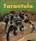 A day in the life. Rainforest animals: Tarantula by Anita, Boeken, Verzenden, Gelezen, Anita Ganeri