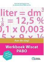 Werkboek Wiscat Pabo 9789082792942, Boeken, Studieboeken en Cursussen, Zo goed als nieuw