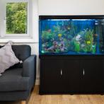 Aquarium 300 L Zwart starterset inclusief meubel - blauw, Verzenden, Nieuw