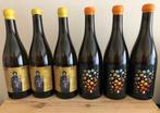 2018 x 3 Fred Niger Domaine de LEcu Lux& 2019 x 3 Faust, Nieuw