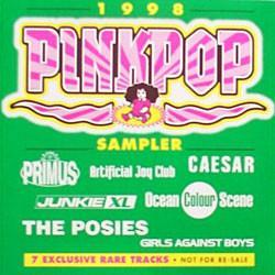 cd - Various - Pinkpop 1998 Sampler, Cd's en Dvd's, Cd's | Overige Cd's, Zo goed als nieuw, Verzenden