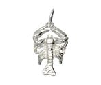 Zilveren Sterrenbeeld Kreeft ketting hanger - groot, Verzenden, Nieuw