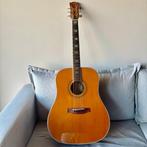 EKO - Rio Bravo - - Akoestische gitaar - Italië - 1982, Nieuw