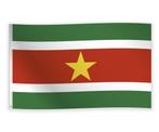 Surinaamse vlag 150x90cm, Nieuw, Ophalen of Verzenden