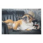 deurmat humor engelse bulldog 75x50cm, Verzenden, Nieuw