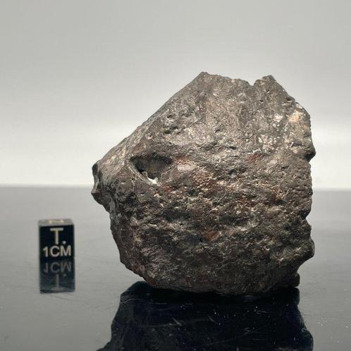 Nieuwe MAAN-meteoriet, OUARGLA 004 XXL!!! Maan met bekende, Verzamelen, Mineralen en Fossielen