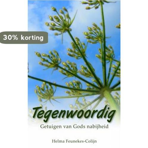 Tegenwoordig 9789029718974 H. Feunekes-Colijn, Boeken, Godsdienst en Theologie, Zo goed als nieuw, Verzenden